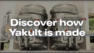 Yakult  How It’s Made [upl. by Yelsnya409]