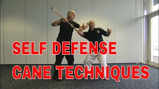 SELF DEFENSE CANE TECHNIQUES Masterclass [upl. by Mcspadden26]