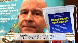 Removing dead rat odor  EarthCare Odor Removers [upl. by Pincus]