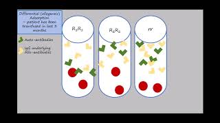 Adsorption Animation Updated Source [upl. by Vig182]