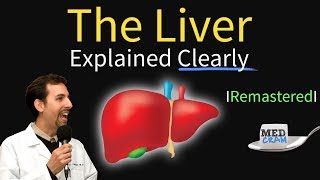 Liver Explained Function Pathology Diseases amp Cirrhosis [upl. by Bartlet]