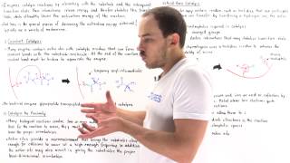 Mechanisms of Enzyme Catalysis [upl. by Yenmor]