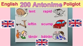 200 Antonime Engleze quot English Poliglotquot [upl. by Neerac920]