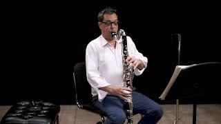 Instrument Bass Clarinet In Depth [upl. by Pozzy50]