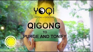 Qigong to Purge and Tonify [upl. by Kappenne241]