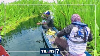 MANCING MANIA  KERANDANG AIR HITAM 24916 32 [upl. by Celin]