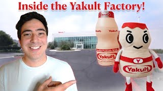 Exploring Yakult Factory USA [upl. by Weigle617]