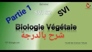 Biologies végétles s2 partie 1 thallophyte  cormophyte شرح بالدرجة [upl. by Aitahs]