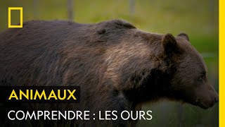 COMPRENDRE  Les ours [upl. by Dusa266]