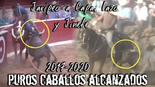 Especial De Toros Bravos Busca Caballos [upl. by Jamal]