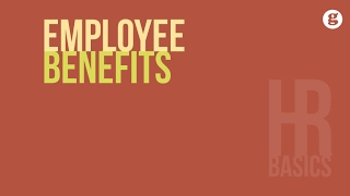 HR Basics Employee Benefits [upl. by Aksel207]