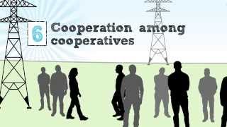 The Cooperative Business Model — The Seven Cooperative Principles [upl. by Fogarty]