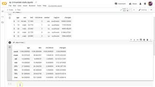 Python univariate statistics [upl. by Esta]