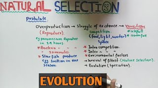 Natural selection theory  Darwin Theory  NMDCAT 2021 [upl. by Radloff667]