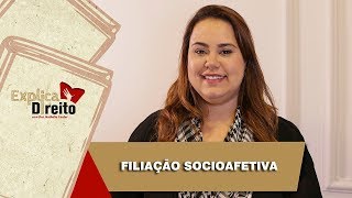 Explica Direito Filiação Socioafetiva  2019 [upl. by Cerveny]