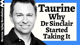 WHY Dr David Sinclair Added TAURINE To His Regimen amp His Dosage [upl. by Tammy132]