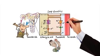 Pharmacology  DIURETICS MADE EASY [upl. by Aalst221]