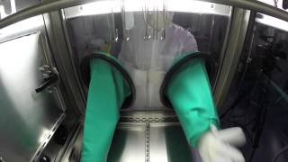 Germfree  Isolator  Glove and Sleeve Changes [upl. by Ahcorb]