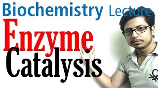 Enzyme catalysis mechanism biochemistry [upl. by Dorri]