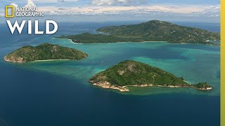 How the Great Barrier Reef Formed  Great Barrier Reef [upl. by Hgieloj]