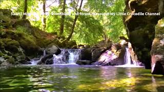 528Hz Miracle Tone  Riverbirds amp forest sound HD  No Headphones Required  4 Hours [upl. by Akilak]