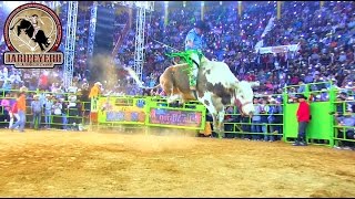 ¡¡TODAS LAS MONTAS DEL GALLITO DE MORELIA vs RANCHO LA MISION [upl. by Arahc293]