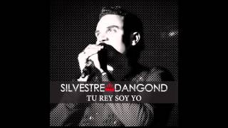 Tu Rey Soy Yo Silvestre Dangond amp Rolando Ochoa  Audio [upl. by Mansoor]