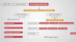 Diagnosing Hyponatremia A Comprehensive Algorithm [upl. by Eiramyllek]