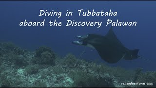 Diving at Tubbataha National Marine Park Philippines May 2023 [upl. by Euhsoj]