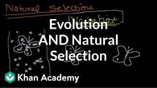 Introduction to Evolution and Natural Selection [upl. by Annhej]