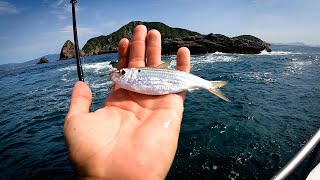 Pesca Con Sardina VIVA en Mar Abierto  SÚPER EFECTIVO [upl. by Arluene124]