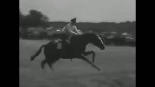 Leni Riefenstahl  Olympia  Equestrian Footage  36 olympics [upl. by Rodenhouse]