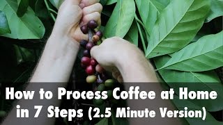 How to Process Coffee at Home in 7 Steps 25 Minute Version [upl. by Hintze]