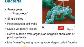 BIOL 2117 Chapter 1  The Microbial World and You [upl. by Irina472]