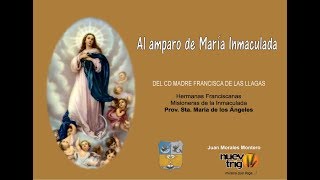 CANCIÓN A LA VIRGEN MARÍA INMACULADA  Juan Morales Montero  Nuevotrigo [upl. by Jonis]