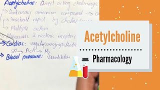 ACETYLCHOLINE  pharmacology  Cholinergic agonist [upl. by Jarrell]