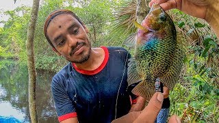 Pesca en la Selva Con Cuerda y Lombriz Mojarras y Sábalo [upl. by Eilitan]