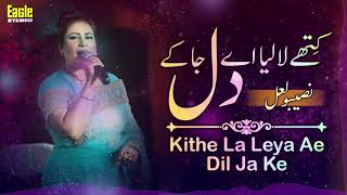 Kithe La Leya Ae Dil Ja Ke  Naseebo Lal  Eagle Stereo  HD Video [upl. by Burrows]