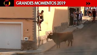 🤩 GRANDES MOMENTOS de 2019 · Tercera parte [upl. by Yenettirb]