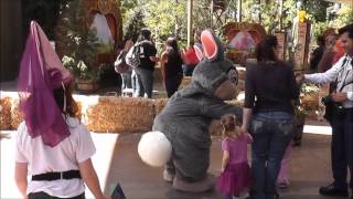 Thumper Meet amp Greet  Disneyland  HD [upl. by Notaes201]