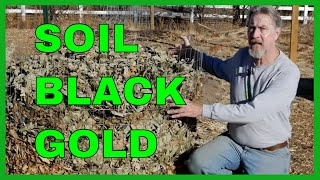 How to Make Leaf Mold 3 Methods [upl. by Gary216]