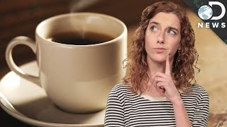 How Coffee is Decaffeinated [upl. by Bryant]