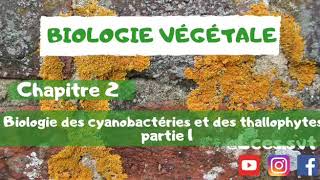 Biologie végétale  chapitre 2  Biologie des cyanobactéries et des thallophytes   Cyanobactéries [upl. by Ailuig]