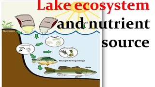 Lake ecosystem and nutrient source [upl. by Nagle]