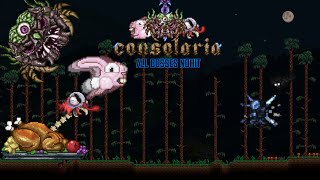 Terraria Consolaria Mod  All Bosses Nohit Flawless [upl. by Anivol102]