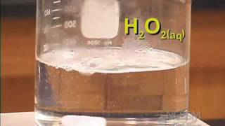 Homogeneous Catalyst [upl. by Stelu]