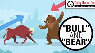 Why are Bull and Bear Markets Called That [upl. by Anilecram]