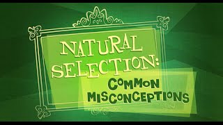 Good Thinking — Natural Selection Common Misconceptions [upl. by Ecinert]