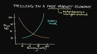 Pricing in a FreeMarket Economy [upl. by Chemaram]