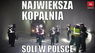 Jak wydobywa się sól Kopalnia soli KGHM PolkowiceSieroszowice [upl. by Divadleahcim]